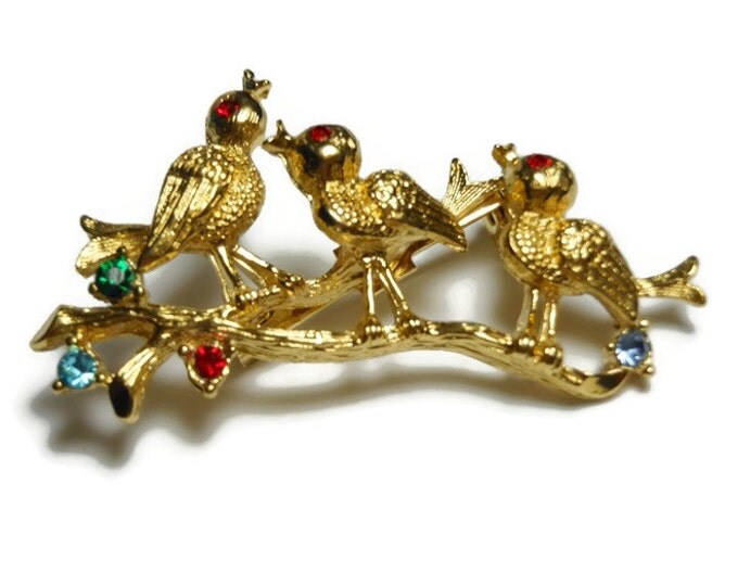 FREE SHIPPING Gerry's birds brooch, gold pin birds on a log, red rhinestone eyes, red green blue rhinestone flowers, figural floral brooch