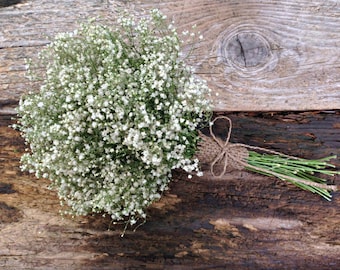 Simple Dried Baby's Breath Bouquet - Small Wedding Bouquet, Decor Bouquet, Flower Girl Bouquet, Small Bridesmaid - Baby's Breath