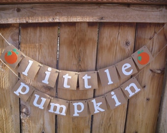 Little Pumpkin Banner - Baby Shower Banner, First Birthday Banner, Photo Prop, Little Pumpkin Party