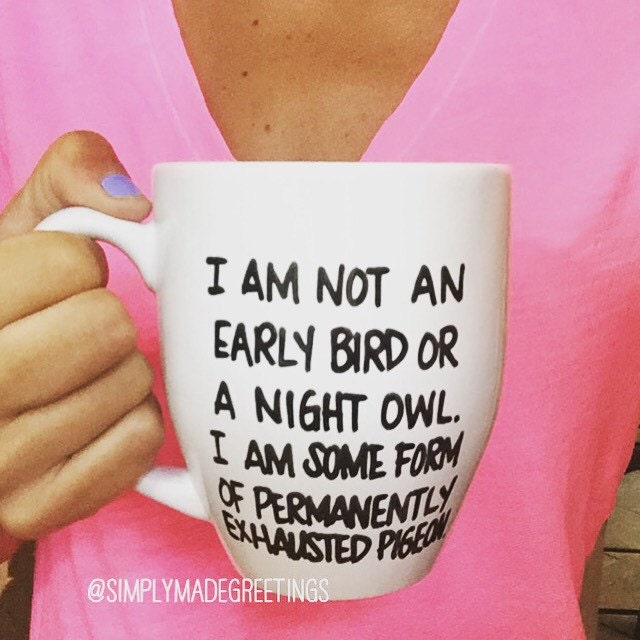 i am not an early bird or a night owl meme