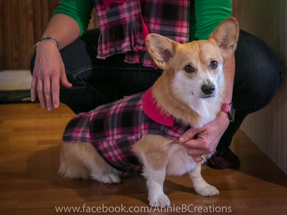 ralph lauren corgi sweater