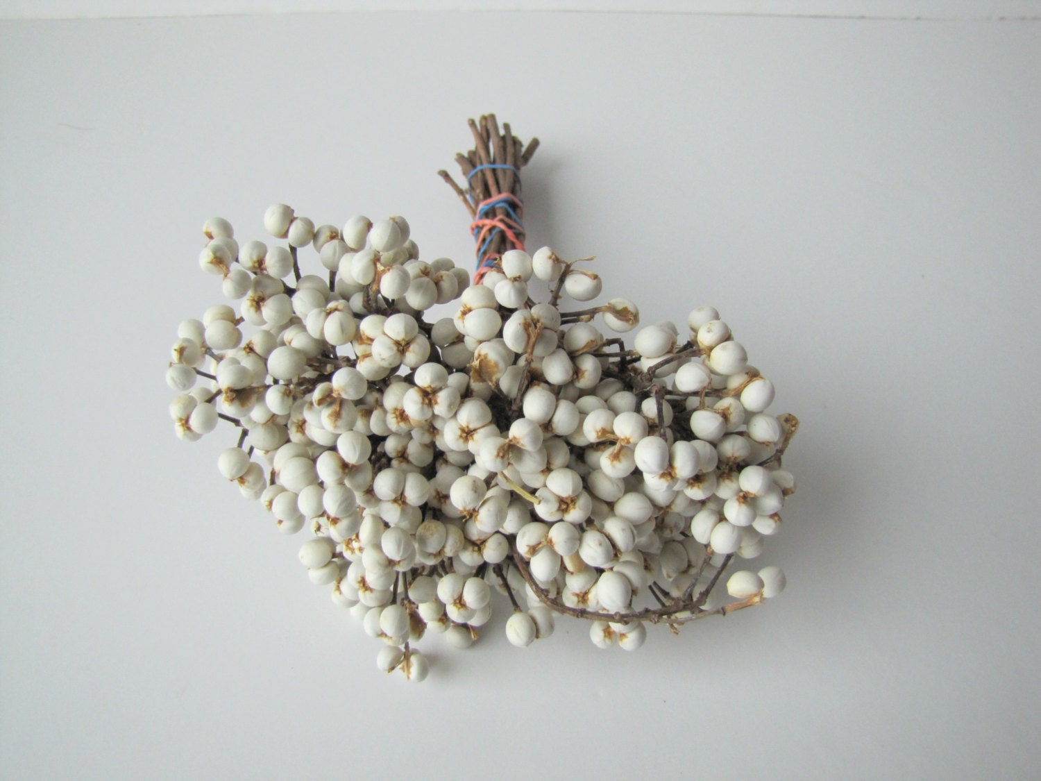 Dried Tallow Berry Tallow Berry Tallo Berry Dried Berries