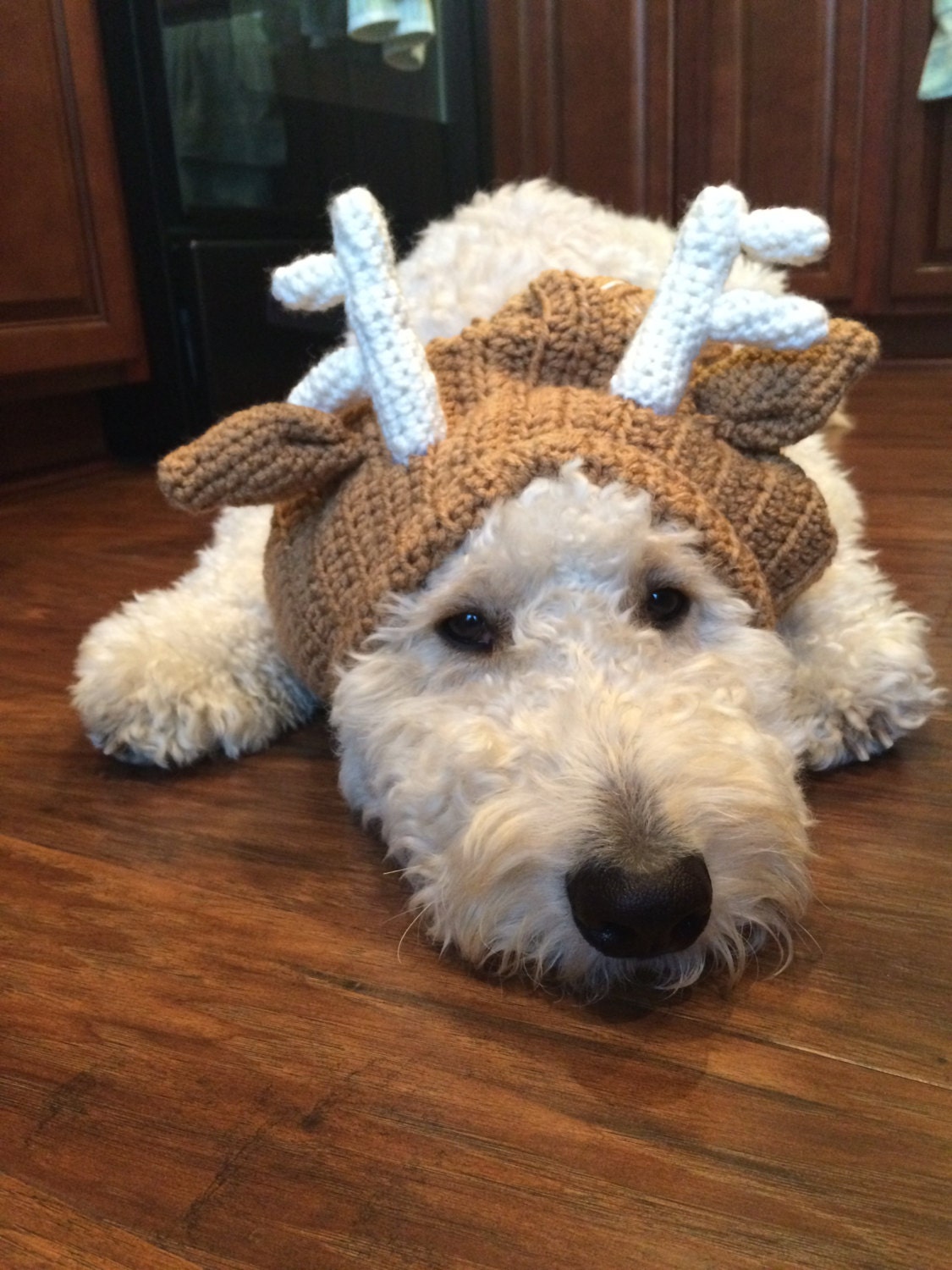 reindeer antlers hat pet reindeer antlers hat pet