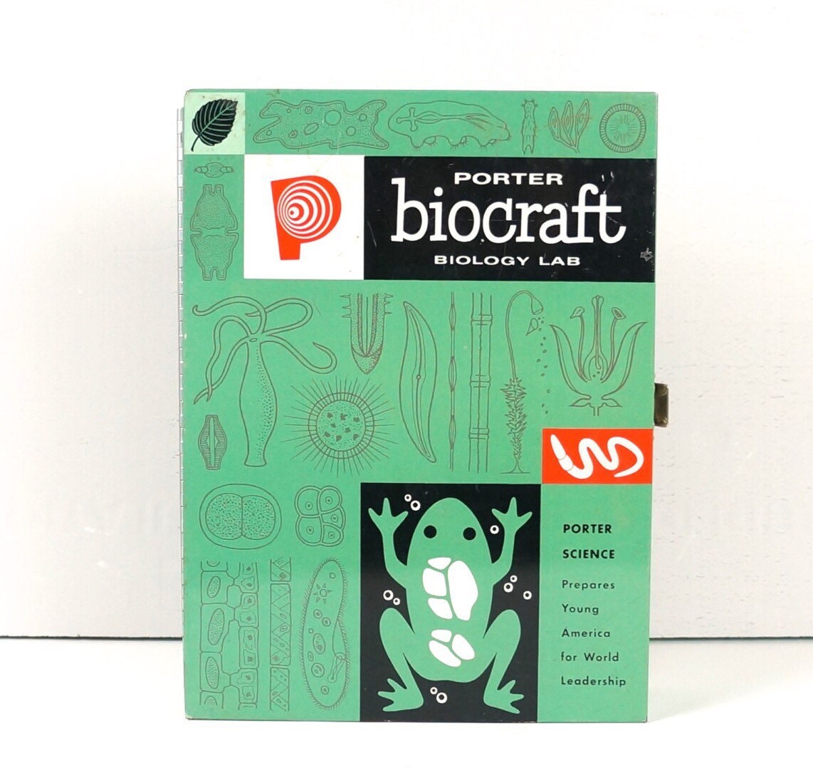 Vintage children's biology lab box. Green frog. Science