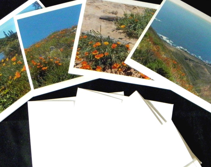 POPPY DAY Note Card 4-piece set featuring California Poppies - Celebrate it on April 6th!