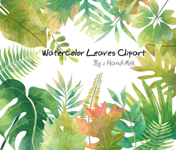 watercolor leaves clipart - photo #36