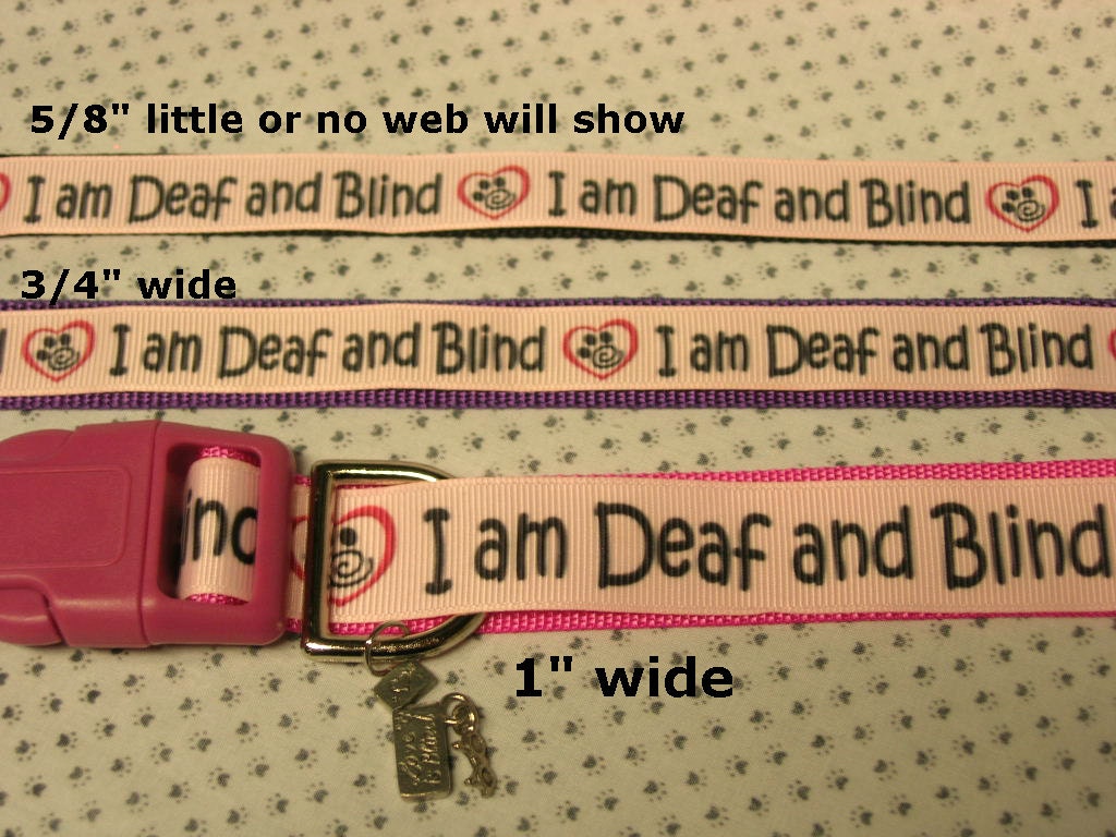 I am Deaf & Blind adjustable dog or cat collar Love is Blind