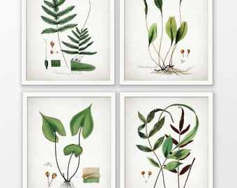 plant art