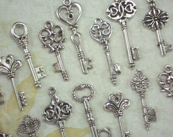 100 Skeleton Keys 10 small Styles Silver Tone Wedding Collection *K49 -100