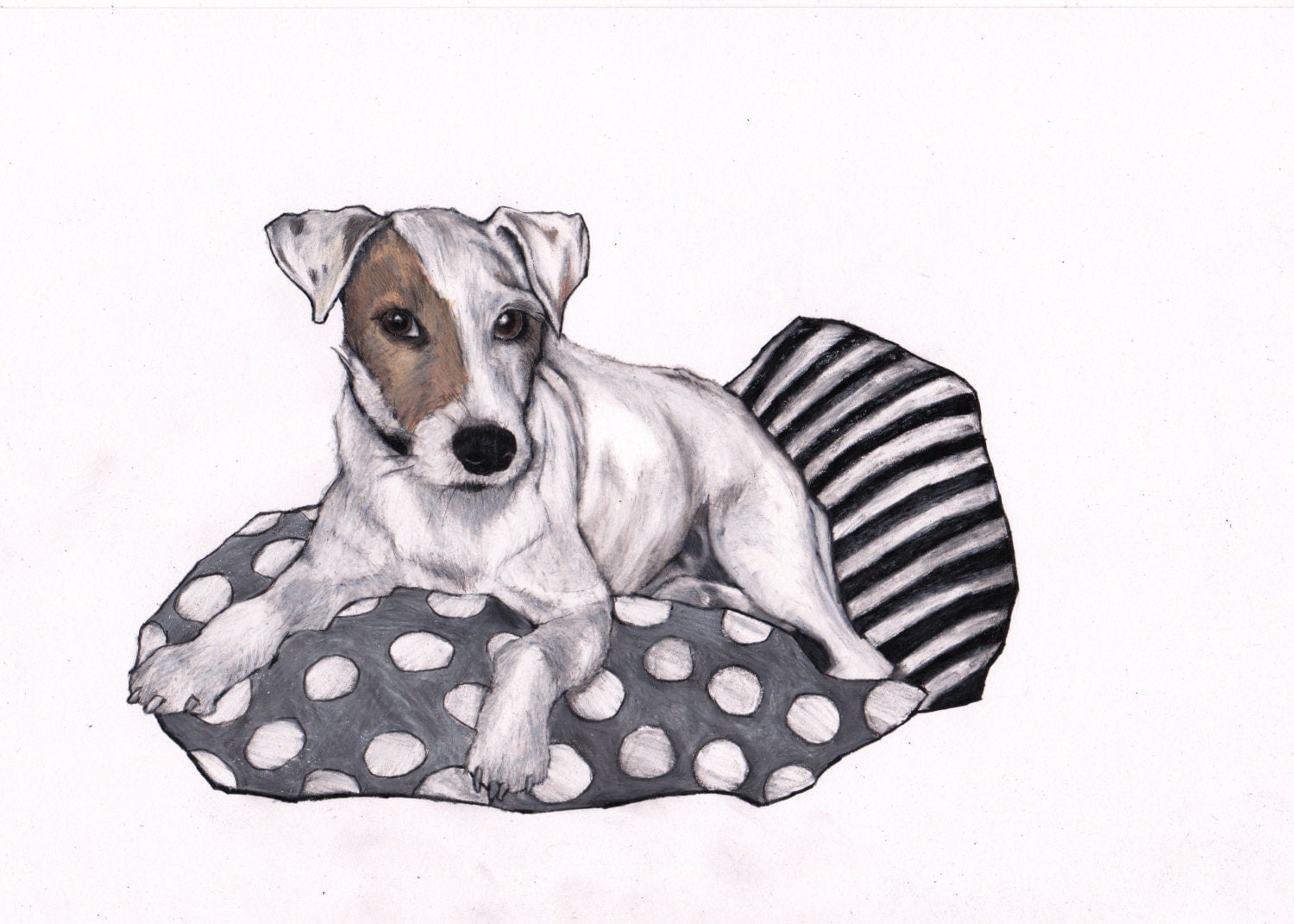 Jack Russell art custom drawing commission a by JimGriffithsArt