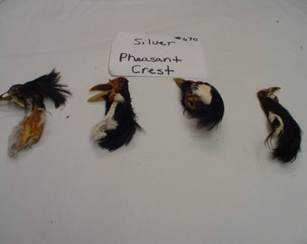 1 Silver Pheasant Crest for Fly Tying (#670)