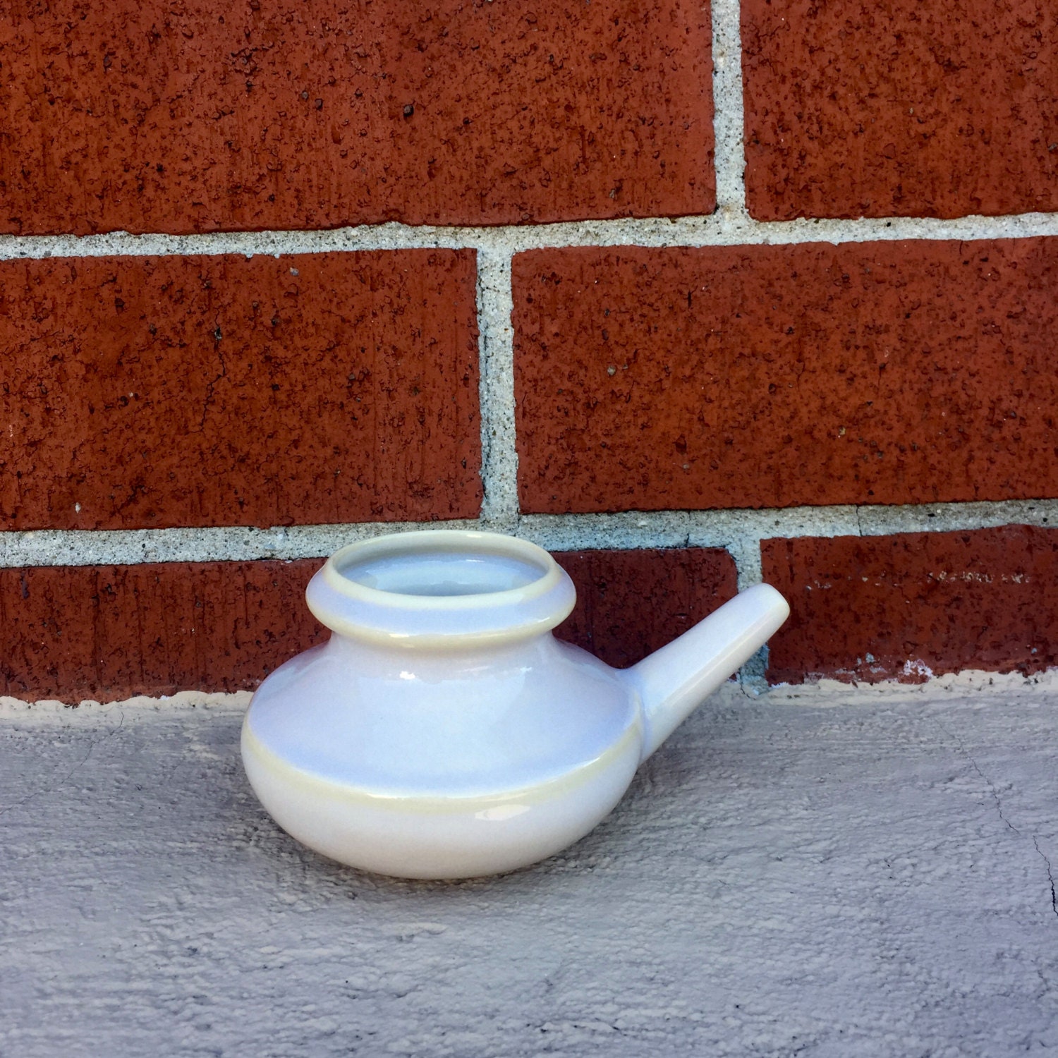 Ceramic Neti Pot Allergy Relief Bpa and Lead Free Fights
