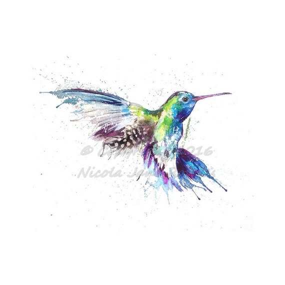 hummingbird nicola davies