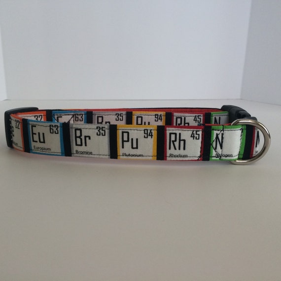 Funny Dog Accessories For Every Canine Personality