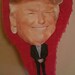 Donald Trump pinata/ Republican party/Presidential campaign