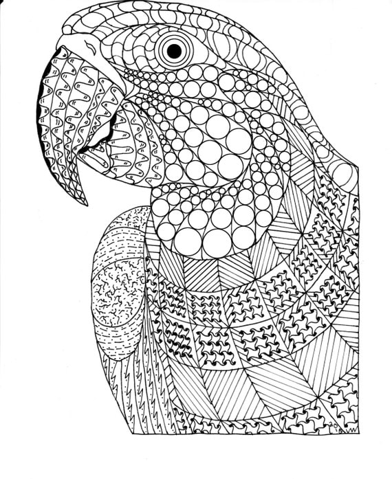 Download Items similar to Macaw / Exotic Bird Zentangle Adult ...