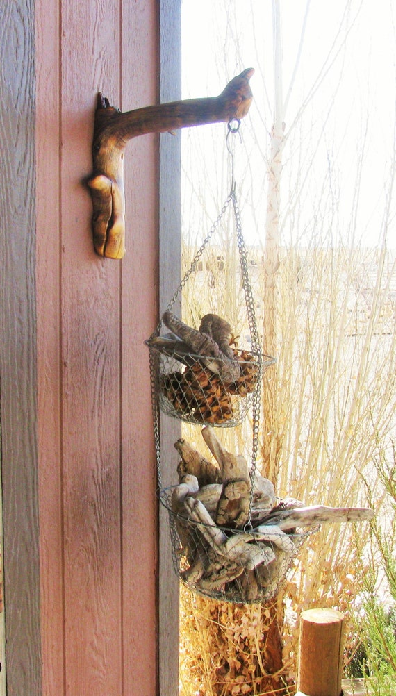 Unique reclaimed tree branch Wall Plant Hanger for hanging