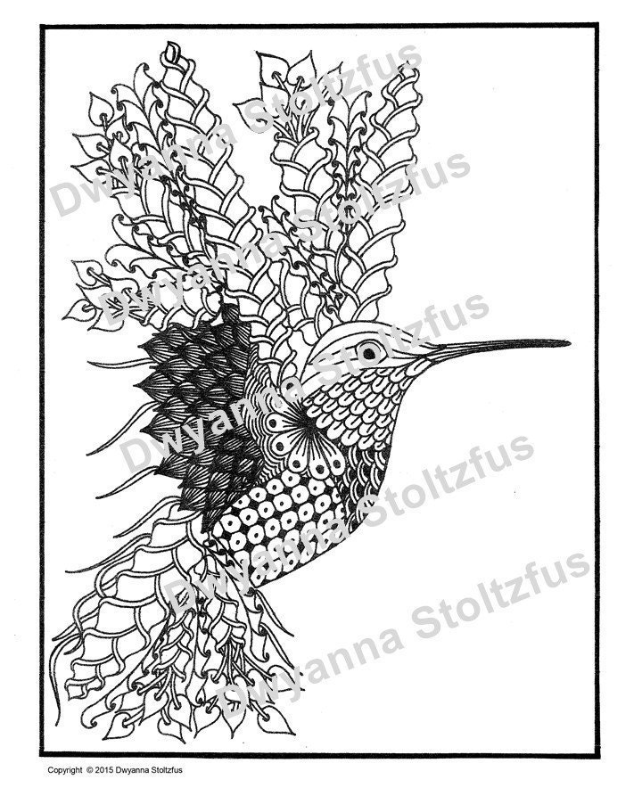 Hummingbird Coloring Page