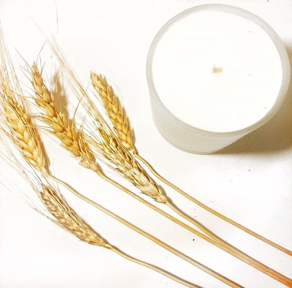 8 oz Switzerland Inspired Frosted Container Candle Edelweiss