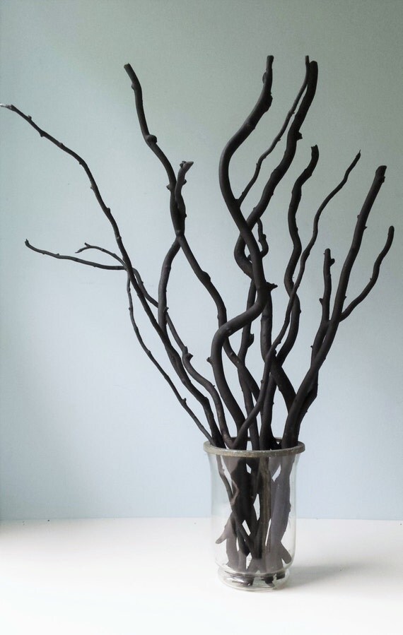 Curly Branches Black Curly Branches Bunch of Twelve 12 Black