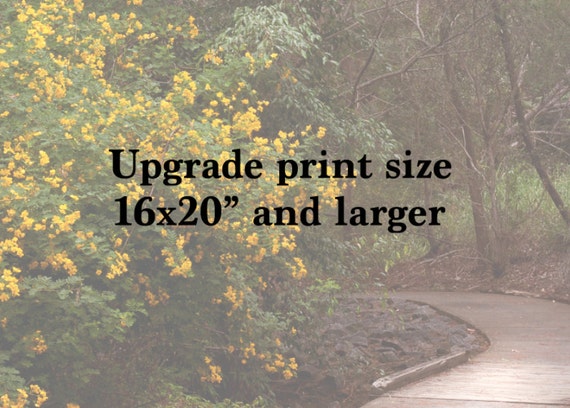 20x30 photo print size
