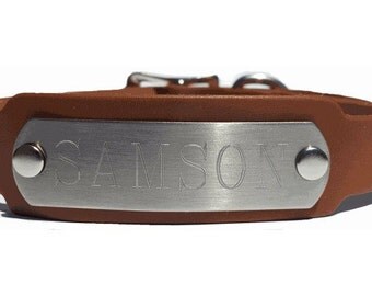 Brown Leather Dog Collar with Engraved Nameplate