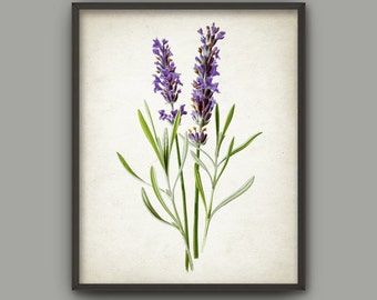 Lavender Wall Art lavender poster | etsy Lavender Wall Art lavender poster | etsy