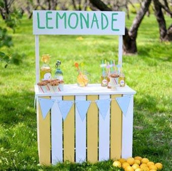 Lemonade Stand Backdrop Photography Background Photo Booth