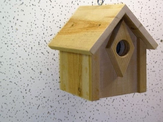Hanging Bluebird house with predator protection.