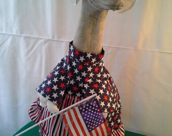 Betsy Ross Dress for Large Goose