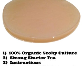 100% Organic Kombucha Scoby Starter Set (Includes: Culture/Mushroom, Strong Starter Tea & Instructions)