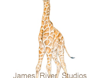 Giraffe Watercolor Print Giraffe Baby Watercolor Giraffe Art Baby Giraffe Nursery Art Boys Room Wall Art Girl Room Large Poster Large Print