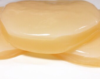 Live Kombucha SCOBY + Strong Starter Tea + Brewing Instructions