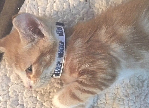 star wars breakaway cat collar