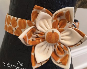 Dog Collar, Collar Flower, Fall Dog Collar, Pumpkin Dog Collar, Thanksgiving dog collar, Pumpkin collar flower, autumn dog collar ,beautiful