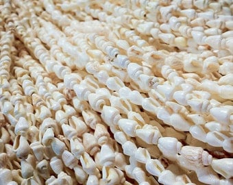 Five dozen strands of Dovetail shell leis