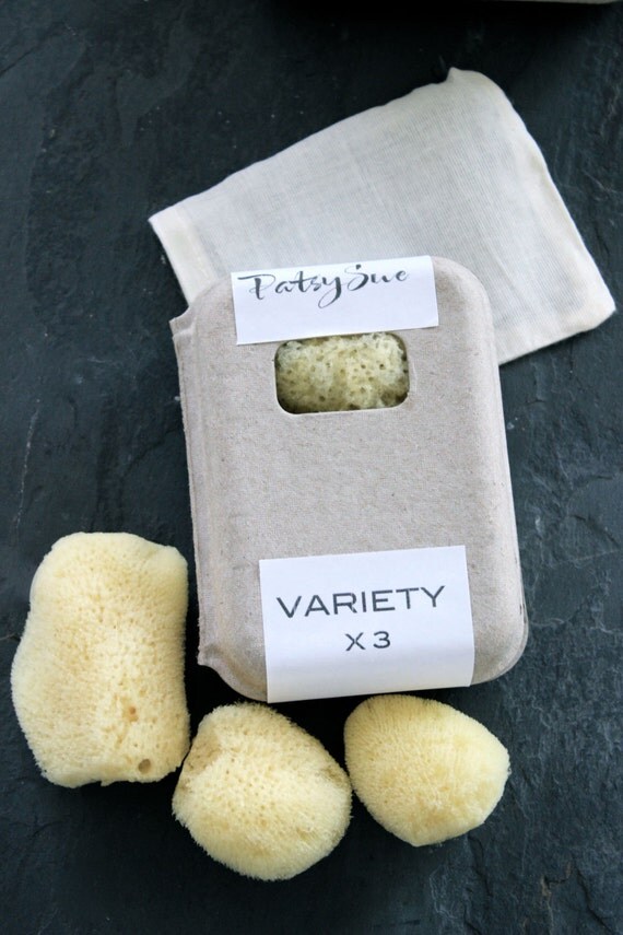 Sea Sponge Tampons Set of 3 Variety/Mixed Natural Tampons