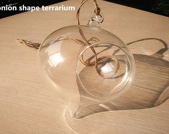 Air Plant Holders/Onion Shaped Glass Hanging Terrarium Wite a Rope //Indoor Planter Vase //Egg Shape Succulent Garden
