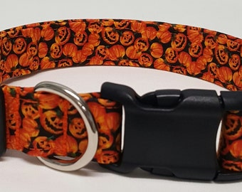 dog collar, mini pumpkin patch, halloween dog collar, halloween collar, fall dog collar, fall collar, pumpkin dog collar, pumpkin collar