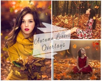 BOGOF, 20 Autumn Leaves Photoshop Overlays, Fall Overlays, Maple Leaf, Falling Leaves, Photoshop Overlays, Photo Overlays, Marketing Board