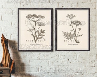 8x10 botanical print | Etsy