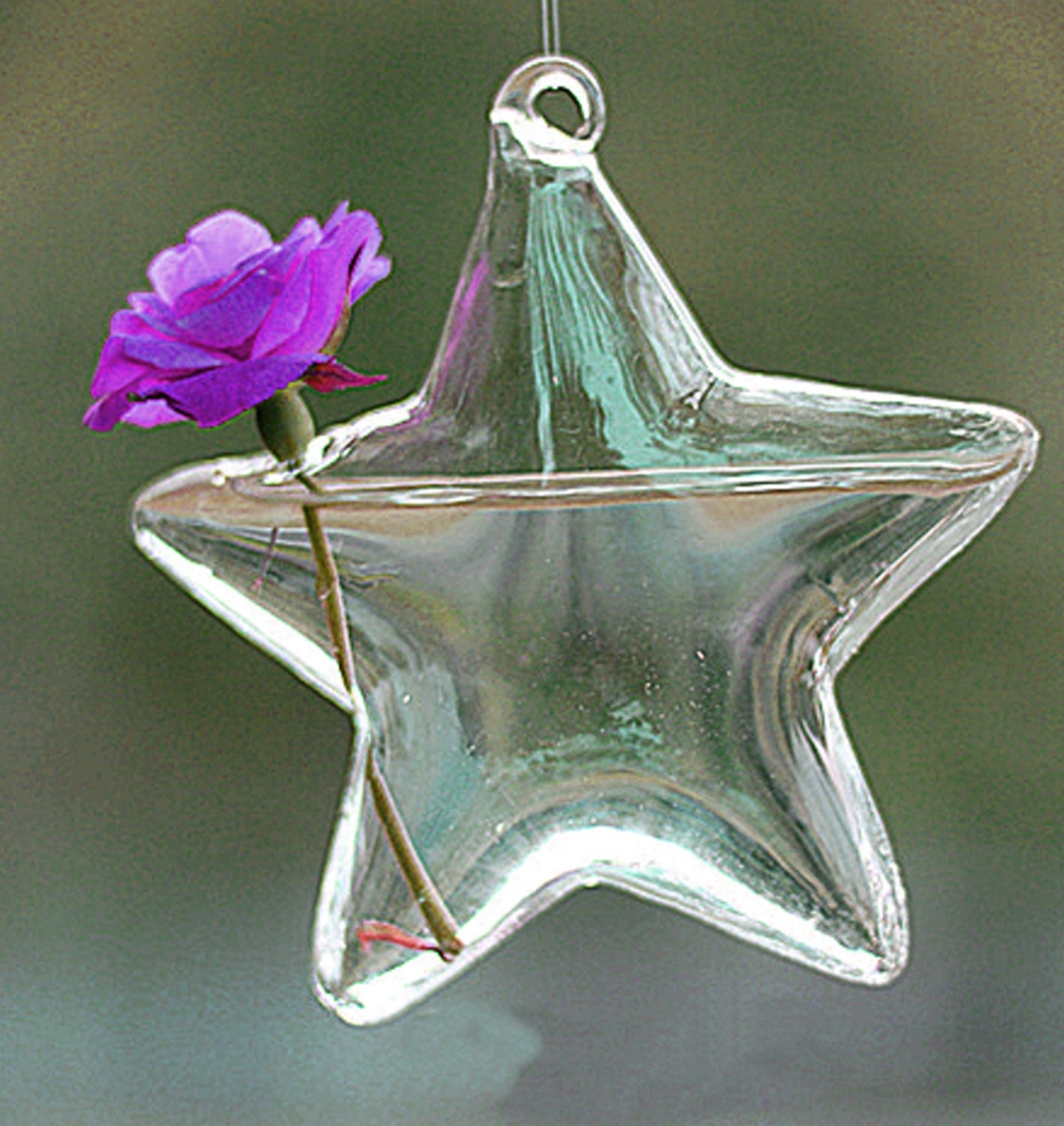 Clear Star Shaped Hanging Glass Vase for Dried or Fresh