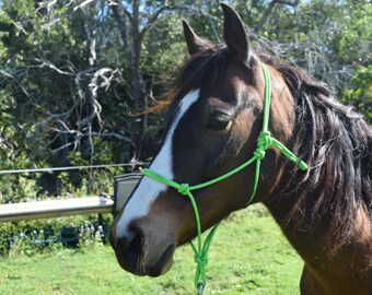 Items similar to Custom Made Horse Halters - Personalized Embroidery ...