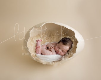 Little Pose ~ Egg Side Neutral Newborn Digital Background High Res jpg file