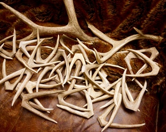 Large Deer Antler Forks: Large Naturally Shed Deer Antlers Forks, Furniture, Tribal, Jewelry, Crafts, Deer Tines