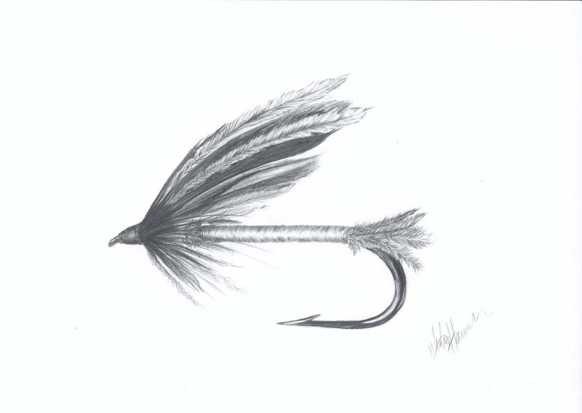 Fishing Fly Print of original Pencil Drawing