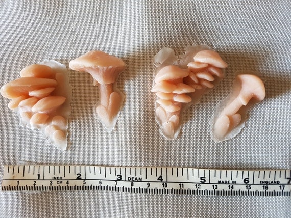 Mushroom Flat Moulded Silicone Prosthetics Special Effects 4x 2731