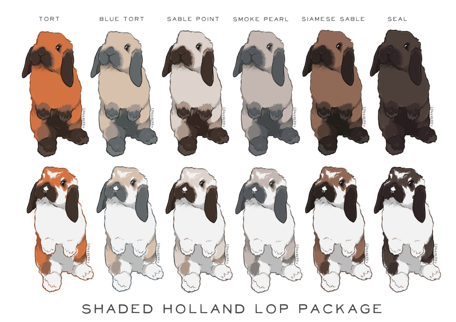 HOLLAND LOP Clip Art Shaded Color Package / show by conkberry