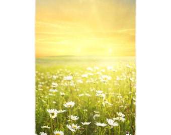 Items similar to Daisy Photography, Field of Daisies Picture, Pretty ...