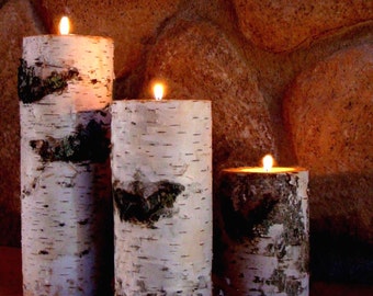 Real Birch Log Candle Holder Set (3)